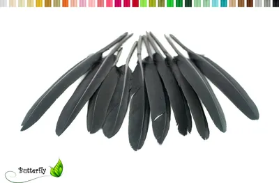 Produktbild von 10 Entenfedern ca. 10-15cm, Farbauswahl:schwarz 030