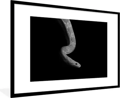 Produktbild von MuchoWow® Gerahmtes Poster Tiere - Schlange - Schwarz - Weiß - Porträt 90x60 cm - Poster mit Schwarzem Bilderrahmen Wandposter Rahmen Foto Bilder - Wanddekoration - Fotos