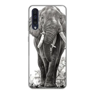 Produktbild von MuchoWow® Handyhülle Schutzhülle Hülle für Samsung Galaxy A30s Elefant - Porträt - Tiere - Schwarz und weiß Silikon Softcase Handy Hülle - Karteninhaber