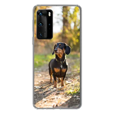 Produktbild von MuchoWow® Handyhülle Schutzhülle Hülle für Huawei P40 Pro Ein schöner Dackel im Wald Silikon Softcase Handy Hülle - Schutz