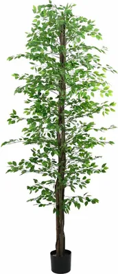 Image de Plante artificielle ficus 2016 feuilles 300 cm vert