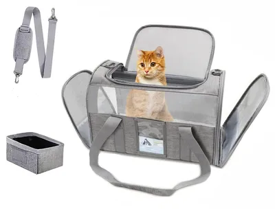 Produktbild von Transportbox – Tragbare und atmungsaktive Tierboxen