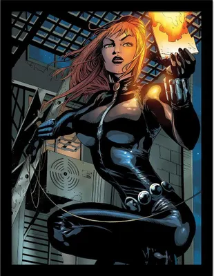 Produktbild von Marvel - Gerahmtes Poster "Black Widow Vs Moon Knight" PM9118 (40 cm x 30 cm) (Grau/Schwarz)