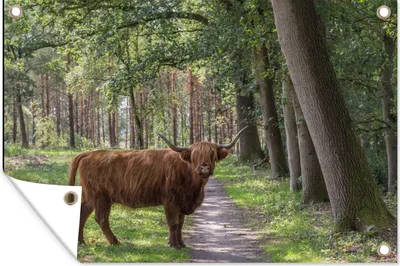 Produktbild von MuchoWow®