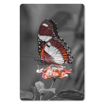 Produktbild von MuchoWow® Mauspad Mousepad Schmetterling - Tiere - Blumen - Schwarz und weiß - Orange 18x27 cm - Mousepads - Maus Mat - Pad - Mausunterlage