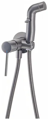 Produktbild von Avapax | Bidetarmatur - Gun Metal - 1200 Mm Schlauch - Einhebel - Unterputzmontage