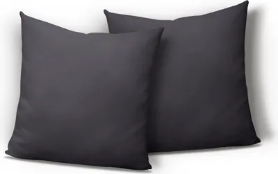 Two dark gray pillows are shown against a white background.