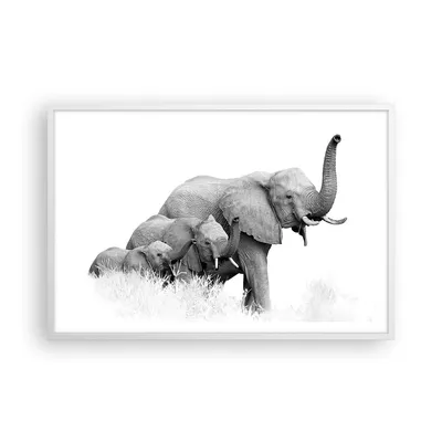 Produktbild von Gerahmtes Poster - Weißer Rahmen - Elefanten Familie Schwarz und Weiß - 91,5x61 cm - Wand Bild - Wanddeko - Wandbilder - Kunstposter - Wandposter - Bilderrahmen - Bilder - Kunstdruck - P2WAA91x61-4374