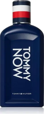 Image de Tommy Eau de Toilette Now pour homme 100 ml - Tommy Hilfiger
