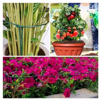 Produktbild von Pflanzenstütze, 8 Stück Blumenhalter, Ringkäfige für Gartenpflanzen, Staudenhalter, für Gemüse, Tomaten, Pfingstrosen, Rosen, Topfpflanzen (25 x 40 cm)