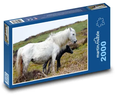 Produktbild von Puzzle 2000 Stute mit Fohlen in der Landschaft - martinpuzzle