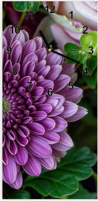 Produktbild von Wanduhr aus Glas mit Motiv Blumenarrangement- 30 x 60 cm - inkl. Aufhängesystem