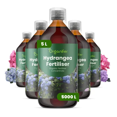 Obrázok produktu pre Hortenzie, tekuté hnojivo, 5 x 1 liter – vzorec NPK 2-1-8 – pre kvitnúce rastliny – pre zdravé listy a bohaté kvitnutie – podporuje rast koreňov a vitalitu – organické hnojivo
