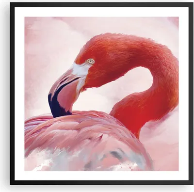 Produktbild von Gerahmtes Poster - Schwarzer Rahmen - Flamingo Vogel Porträt - 60x60 cm - Wand Bild - Wanddeko - Wandbilder - Kunstposter - Wandposter - Bilderrahmen - Bilder - Kunstdruck - P2BAC60x60-4984