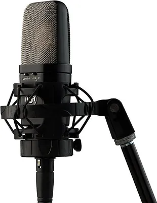 Zdjęcie produktu dla Warm Audio WA-14 Mikrofon pojemnosciowy studyjny