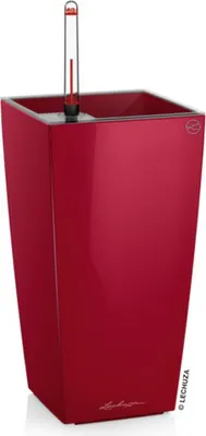 Obrázok produktu pre LECHUZA Maxi-Cubi, Stolový vysadzovač, Voľne stojace, Polypropylén (PP), Červená, Obdĺžnik, Vnútorný