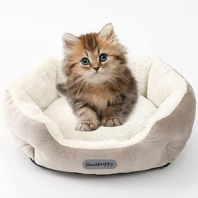 Produktbild von Hundebett, Hundekissen, Katzenbett, Katzenkissen, Hundematte, Katzenschlafplatz, Hundemantel, Katzenkissen, waschbar, antirutsch, rund für kleine Hunde und Katzen, beigem S (37 * 33 * 13 cm)