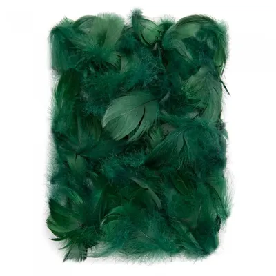 Produktbild von Dunkelgrüne Federn 5-12cm 10g