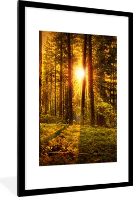 Produktbild von MuchoWow® Gerahmtes Poster Wald - Sonne - Bäume - Natur - Sonnenuntergang 60x90 cm - Poster mit Schwarzem Bilderrahmen Wandposter Rahmen Foto Bilder - Dekoration - Wandposter Wohnzimmer - Hochwertig