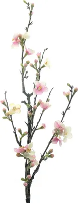 Produktbild von GASPER Quittenzweig Rosa 86 cm - Kunstblumen