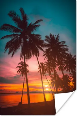 Produktbild von MuchoWow® Poster Meer - Palme - Sonnenuntergang - Strand - Silhouette 120x180 cm - Kunstposter
