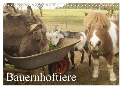Produktbild von Bauernhoftiere (Wandkalender 2027 DIN A4 quer), CALVENDO Monatskalender