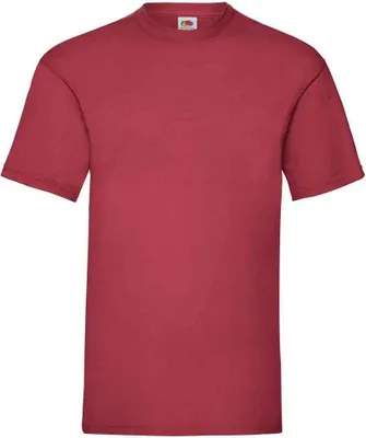Image de Fruit of the Loom - "Valueweight" T-Shirt für Herren RW9334 (S) (Ziegelrot)