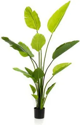 Produktbild von Kunstpflanze Strelitzia Nicolai Paradiesvogelblume 150cm künstliche Dekopflanze
