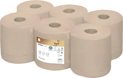 Immagine prodotto di Satino Carta asciugamani PureSoft 314290 2lg. 428fogli 6pz.