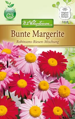 Produktbild von Margerite Robinson | Margeritensamen von N.L. Chrestensen