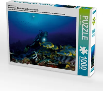 Produktbild von CALVENDO Puzzle Ein Motiv aus dem Kalender Malediven - Die bunte Unterwasserwelt 1000 Teile Puzzle quer | 1000 Teile Lege-Größe 64x48cm Foto-Puzzle für glückliche Stunden