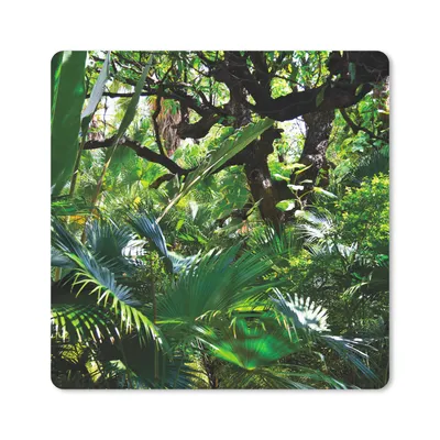 Produktbild von MuchoWow® Mauspad Mousepad Schöne Muster von Blättern und Bäumen in einem Regenwald 20x20 cm - Mousepads - Maus Mat - Pad - Mausunterlage - Desk Mat - Bureauartikeln