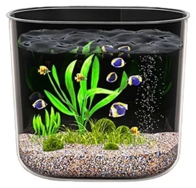 Productafbeelding van Transparant Aquarium van Valbestendig Acrylmateriaal