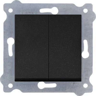 Image de Bouton-poussoir double d'éclairage / momentané - Noir métallisé 220/14E EXEN