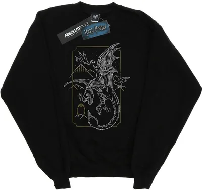 Produktbild von Harry Potter - Sweatshirt für Damen BI20421 (XL) (Schwarz)