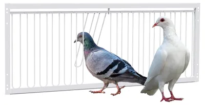 Immagine prodotto di Elzusha - Porta per gabbia per uccelli, in ferro, 60 cm