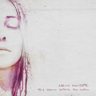 Produktbild von The Storm Before The Calm