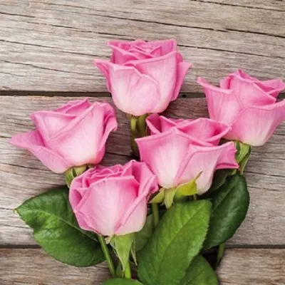 Produktbild von 20 Servietten, Rosen, 33 x 33 cm, Papierservietten, Rose Blumen