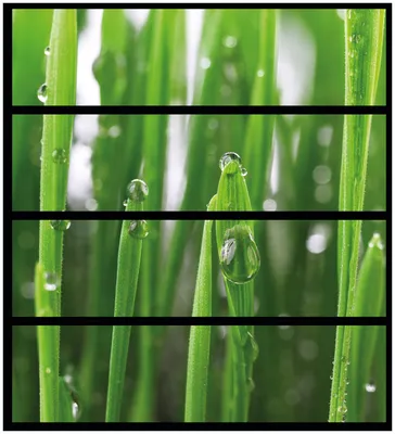 Produktbild von Wallario Möbelfolie / Aufkleber, geeignet für Ikea Malm Kommode mit 4 Schubfächern - Wassertropfen an Grashalmen