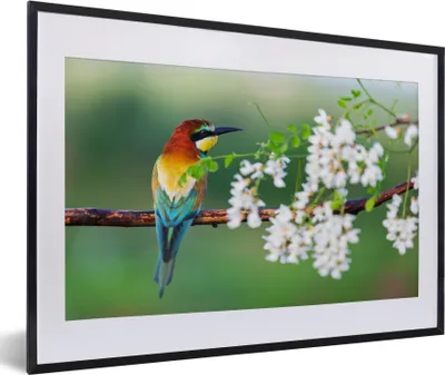 Produktbild von MuchoWow® Gerahmtes Poster Vogel - Bienenfresser - Blumen 60x40 cm - Poster mit Schwarzem Bilderrahmen Wandposter Rahmen Foto Bilder - Schlafzimmer - Plakat in Rahmen - Drucken