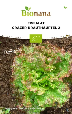 Artikelbild 1 von 'BIO Eissalat Grazer Krauthäuptel [MHD 12/2026]' aus der Kategorie Eissalatsamen