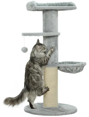 Image de Arbre à chat - Structure d'escalade pour chats - Hauteur : 103,5 cm - 3 niveaux - Hamac et surface de repos - Colonne en sisal épais - Jouet à suspendre en forme de balle - Gris clair