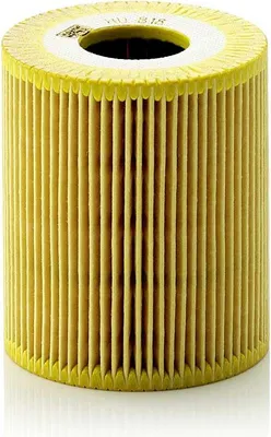 Immagine prodotto di MANN-FILTER filtro olio HU 818 x