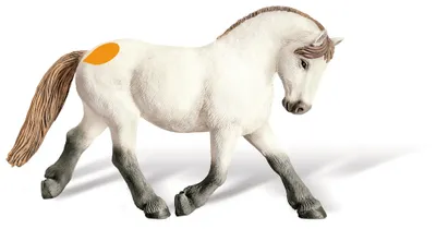 Produktbild von Camargue Hengst