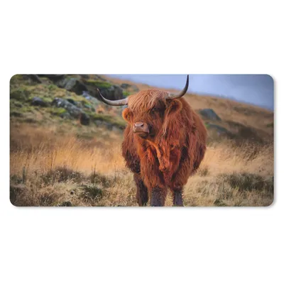 Produktbild von MuchoWow® Schreibtischunterlage Schottische Highlander - Gras - Steine 80x40 cm - XXL Mauspad - Gaming Mauspad