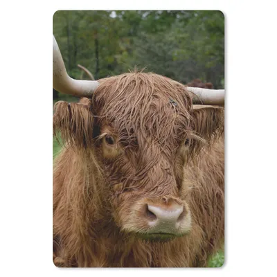 Produktbild von MuchoWow® Mauspad Mousepad Schottische Highlander - Tiere - Gras 18x27 cm - Mousepads - Maus Mat - Pad - Mausunterlage