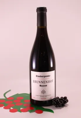 Produktbild von Blauburgunder Riserva - 2021 - Kellerei Brunnenhof
