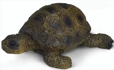 Obrázek produktu pro SCHLEICH 14404 Želva