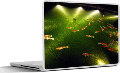 Produktbild von MuchoWow® Laptop Aufkleber Sticker Cover Eine große Gruppe von Koi-Karpfen schwimmt nachts in einem Gartenteich 30x22 cm - Laptop-Sticker