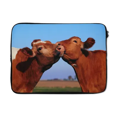 Produktbild von MuchoWow® Laptop Hülle 13 Zoll Kühe - Braun - Gras Laptoptasche - Laptophülle - Sleeve - Rundumschutz